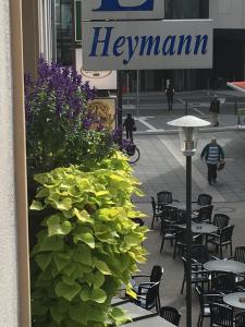 凯撒斯劳滕赫尔曼酒店的餐馆前的绿色植物