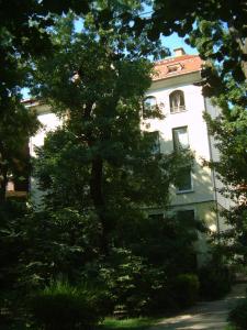 凯奇凯梅特Park Vendégház的白色建筑前的一棵大树