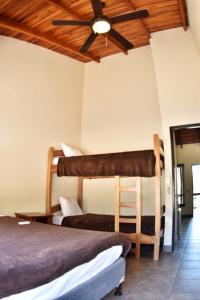 Casa Aura: Beachfront Premium Hostel客房内的一张或多张双层床