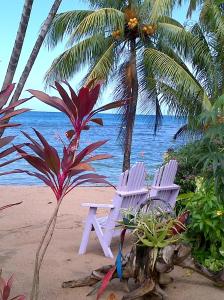 Calibishie凉廊景观旅馆的海滩上的两把白色椅子和大海