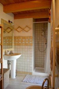 努斯La Maison De Toyen的带淋浴和盥洗盆的浴室