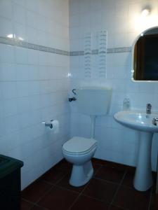 富尔纳斯Casa da Beija - House Azores的白色的浴室设有卫生间和水槽。