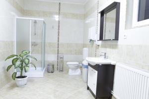 BălăuşeriHotel Romantik的浴室配有卫生间、淋浴和盥洗盆。