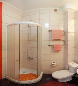 尼古拉耶夫VIP studio in CENTER!!!的带淋浴和卫生间的浴室