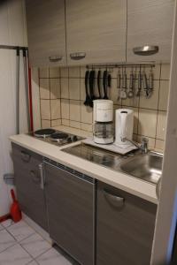 卑尔根吕根努尔劳波1号公寓的厨房配有水槽和台面