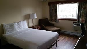 
达特茅斯汽车旅馆客房内的一张或多张床位
