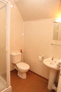 Revesby红狮宾馆的一间带卫生间和水槽的浴室