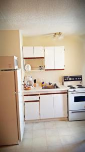 德兰赫勒荒地汽车旅馆的厨房配有白色橱柜和白色冰箱。