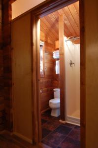 麦金利公园迪纳利小屋旅馆的木屋内的浴室设有卫生间