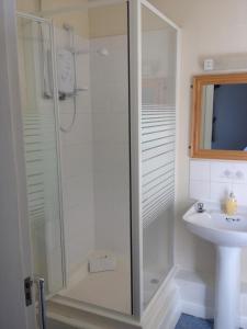 利兹麦内阿姆斯宾馆的一个带盥洗盆的浴室内的淋浴间