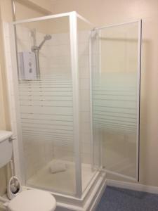 利兹麦内阿姆斯宾馆的设有带卫生间的浴室内的淋浴间