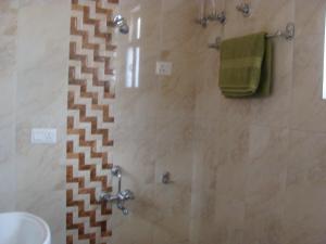 德拉敦Hotel Abhinandan Grand的带淋浴的浴室和玻璃门