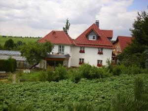 Madfeld威尔克布鲁腾霍夫旅馆的田野上红色屋顶的房子