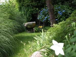 台格纳巴贝魅力酒店 的一座种植了蓝色花卉和石头长凳的花园