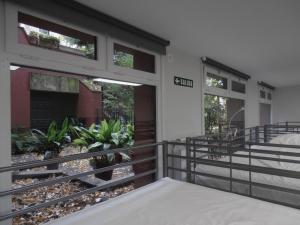 潘普洛纳Plaza Catedral hostel的阳台,带一张床和一些植物的建筑