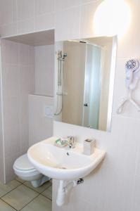 布拉格伍泽勒奈赫雅乐斯公寓的一间带水槽、卫生间和镜子的浴室