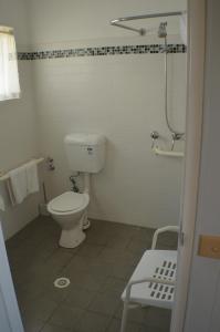 阿米代尔Deer Park Motor Inn Armidale的白色的浴室设有卫生间和淋浴。