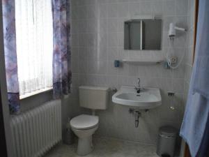 基希洪德姆Waldhotel Einstein的一间带卫生间和水槽的浴室