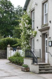 Lupton普拉夫宾馆的房子前的白花树