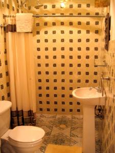 瓜纳华托艾佐毕烙铁莫哈多酒店的一间带卫生间和水槽的浴室