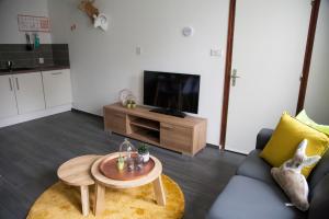 埃彭Apartment Top van Epen的带沙发、桌子和电视的客厅