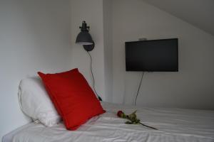 阿纳姆胡格坎普旅馆的一张带红色枕头的床和一台平面电视