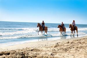 斯嘉德瓦利Barricata Holiday Village的一群人在海滩上骑马