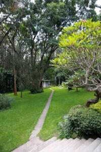 阿鲁沙赤道酒店的草木丛中的公园