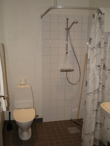 RammsjöRamsjögård Hotell的浴室配有卫生间、淋浴和盥洗盆。