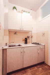 莫斯科旧阿尔巴特奇迹公寓的厨房配有水槽和台面