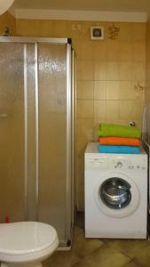 帕索圣佩莱格里诺Rododendro Apartment的一间带洗衣机和洗衣机的浴室