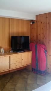 帕索圣佩莱格里诺Rododendro Apartment的客厅设有木墙,配有电视。