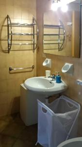 帕索圣佩莱格里诺Rododendro Apartment的一间带水槽、卫生间和镜子的浴室