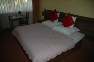 伦讷施塔特Gasthof Holländer Eck的一间卧室配有一张带红色枕头的大床