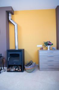 巴加Apartament Bagà的客厅设有壁炉和电视。
