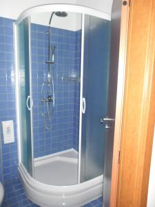 塞尼察Hotel Arli的蓝色瓷砖浴室设有玻璃门淋浴