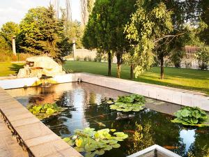 季米特洛夫格勒Motel Maritsa的花园中的一个水塘与百合花
