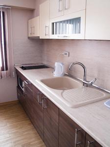季米特洛夫格勒Motel Maritsa的厨房柜台配有水槽和烤面包机。