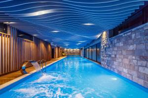萨拉热窝Pino Nature Hotel, BW Premier Collection的酒店内拥有蓝色天花板的游泳池