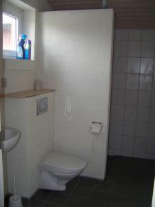 安斯艾厄索尔文公寓酒店的一间带卫生间和水槽的浴室