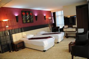 Ereğli格兰德埃雷利酒店的酒店客房设有两张床和电视。