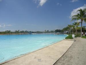 普拉亚布兰卡Balcones -Torre IV的海滩上一座种有棕榈树的大型游泳池
