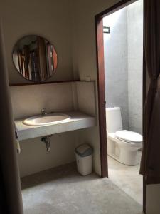 查龙费恩之屋休闲酒店的一间带水槽、镜子和卫生间的浴室