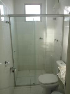 蒙蒂斯克拉鲁斯Hotel Minas Brasil的带淋浴、卫生间和窗户的浴室