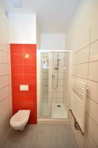 博胡明波德泽兰姆杜本酒店的带淋浴、卫生间和淋浴的浴室