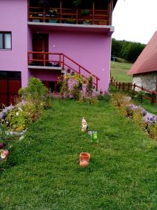 扎布利亚克Apartment Nikitovic的院子里有花的粉红色房子