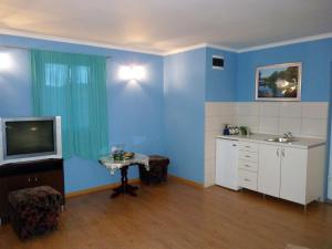 普列夫利亚Hotel 24 jul的蓝色的客房设有水槽、电视和桌子