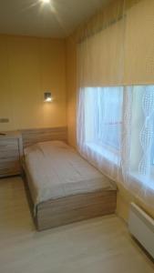 派尔努Vetesina的一间小卧室,配有床和窗户