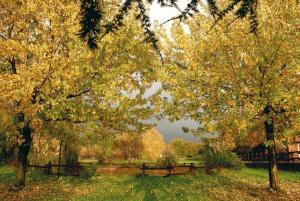 真扎诺-迪罗马Agriturismo Monte Due Torri的秋天有长椅和树木的公园
