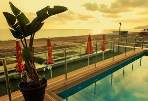 卡斯特尔德费尔斯马里提姆公寓酒店的一个带盆栽植物和遮阳伞的游泳池